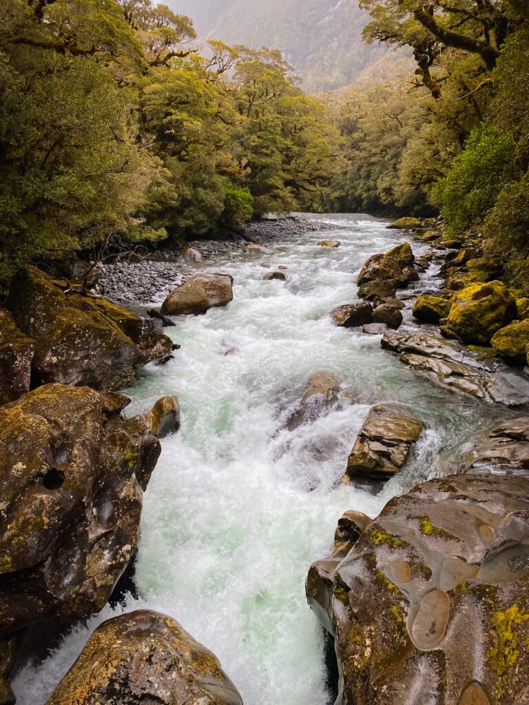 Milford Road